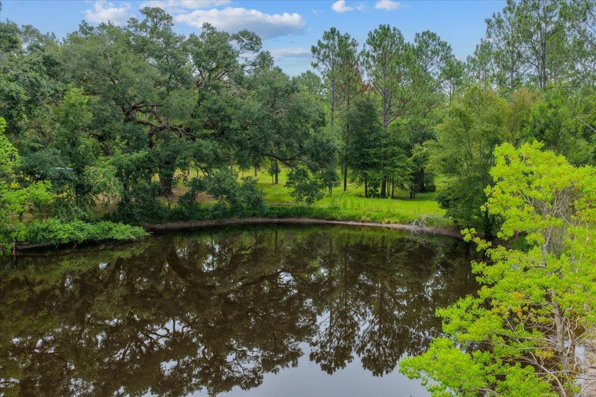 837 Northeast Raspberry Way Pinetta, FL 32350 - Photo 27 of 45