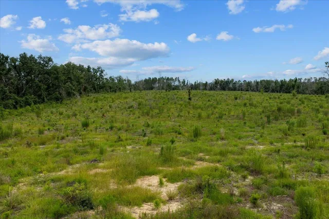 $1,100,000 | 837 Northeast Raspberry Way, Pinetta, FL 32350