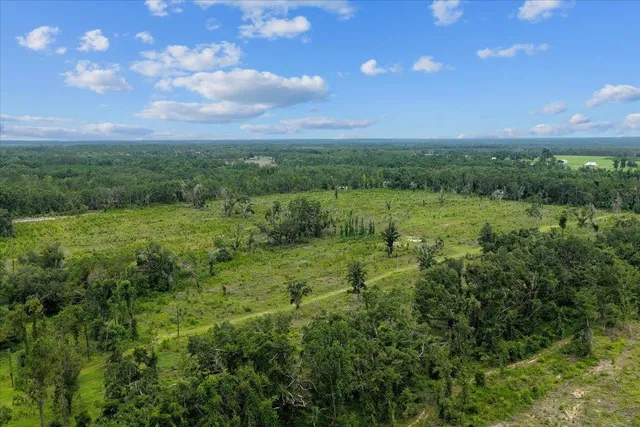 $1,100,000 | 837 Northeast Raspberry Way, Pinetta, FL 32350