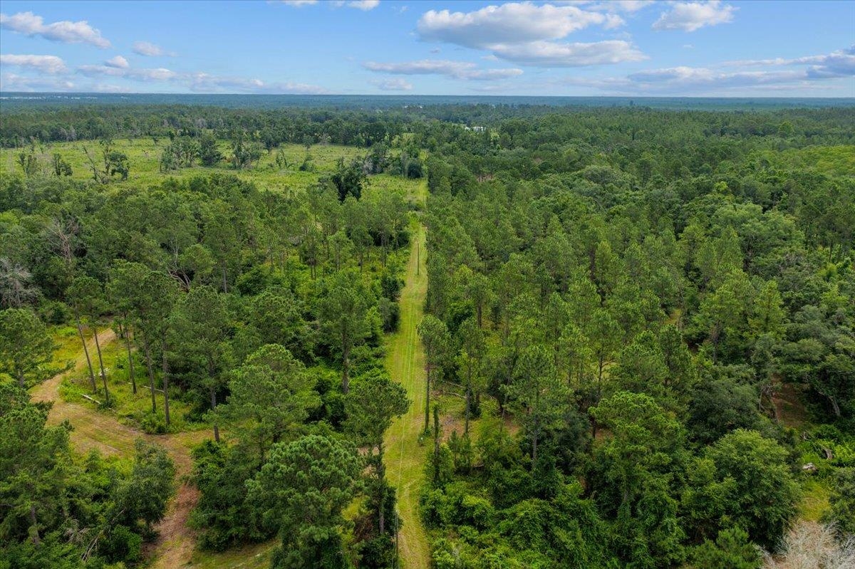 837 Northeast Raspberry Way Pinetta, FL 32350 - Photo 30 of 45