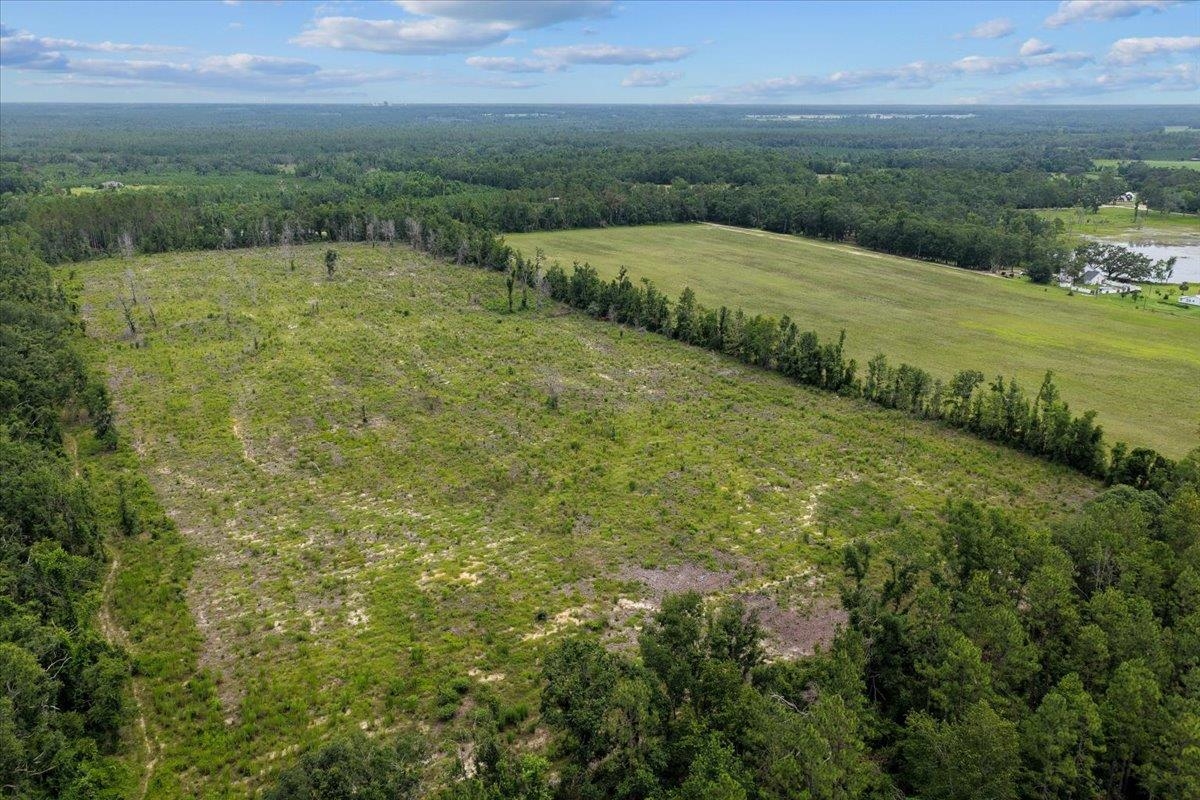 837 Northeast Raspberry Way Pinetta, FL 32350 - Photo 31 of 45