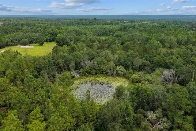 $1,100,000 | 837 Northeast Raspberry Way, Pinetta, FL 32350