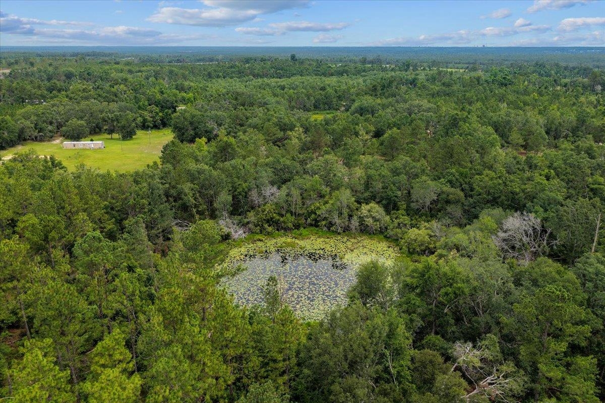 837 Northeast Raspberry Way Pinetta, FL 32350 - Photo 32 of 45