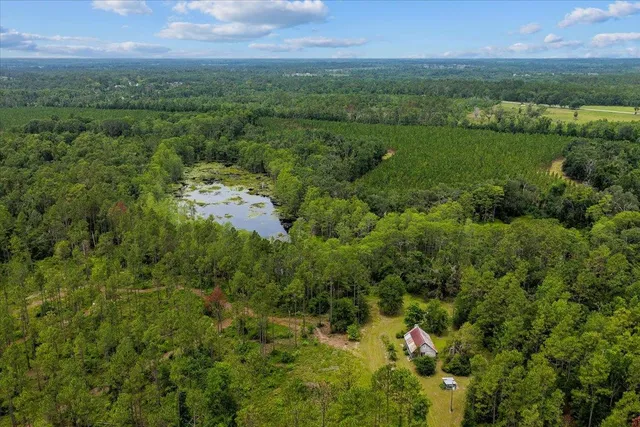 $1,100,000 | 837 Northeast Raspberry Way, Pinetta, FL 32350