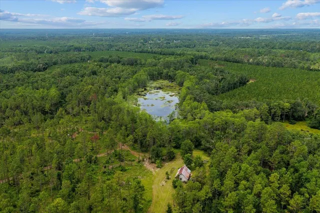 $1,100,000 | 837 Northeast Raspberry Way, Pinetta, FL 32350