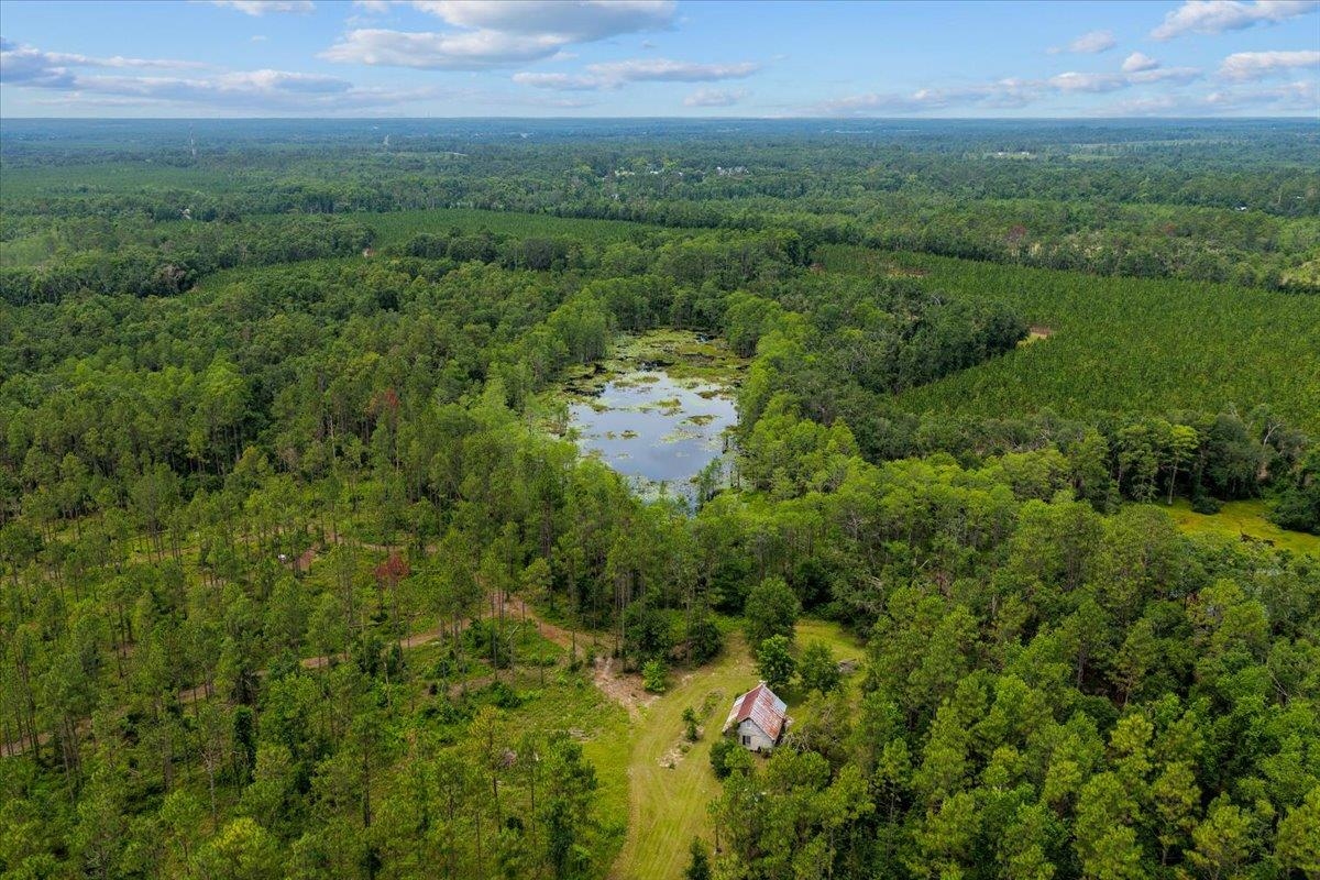 837 Northeast Raspberry Way Pinetta, FL 32350 - Photo 34 of 45