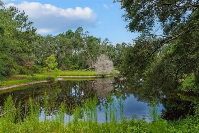 $1,100,000 | 837 Northeast Raspberry Way, Pinetta, FL 32350