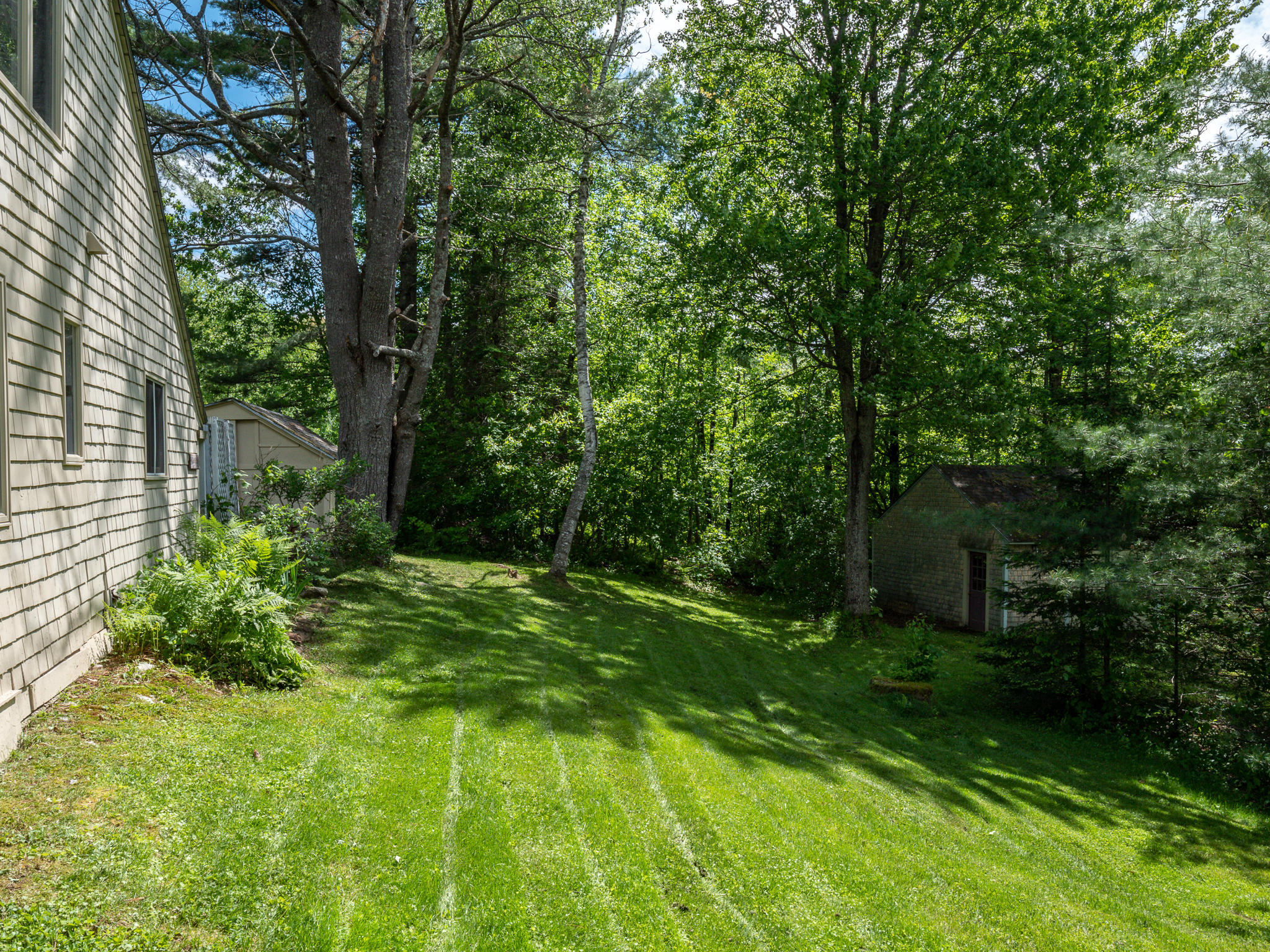 106 Martin Road Rumford, ME 04276 - Photo 40 of 41 West yard