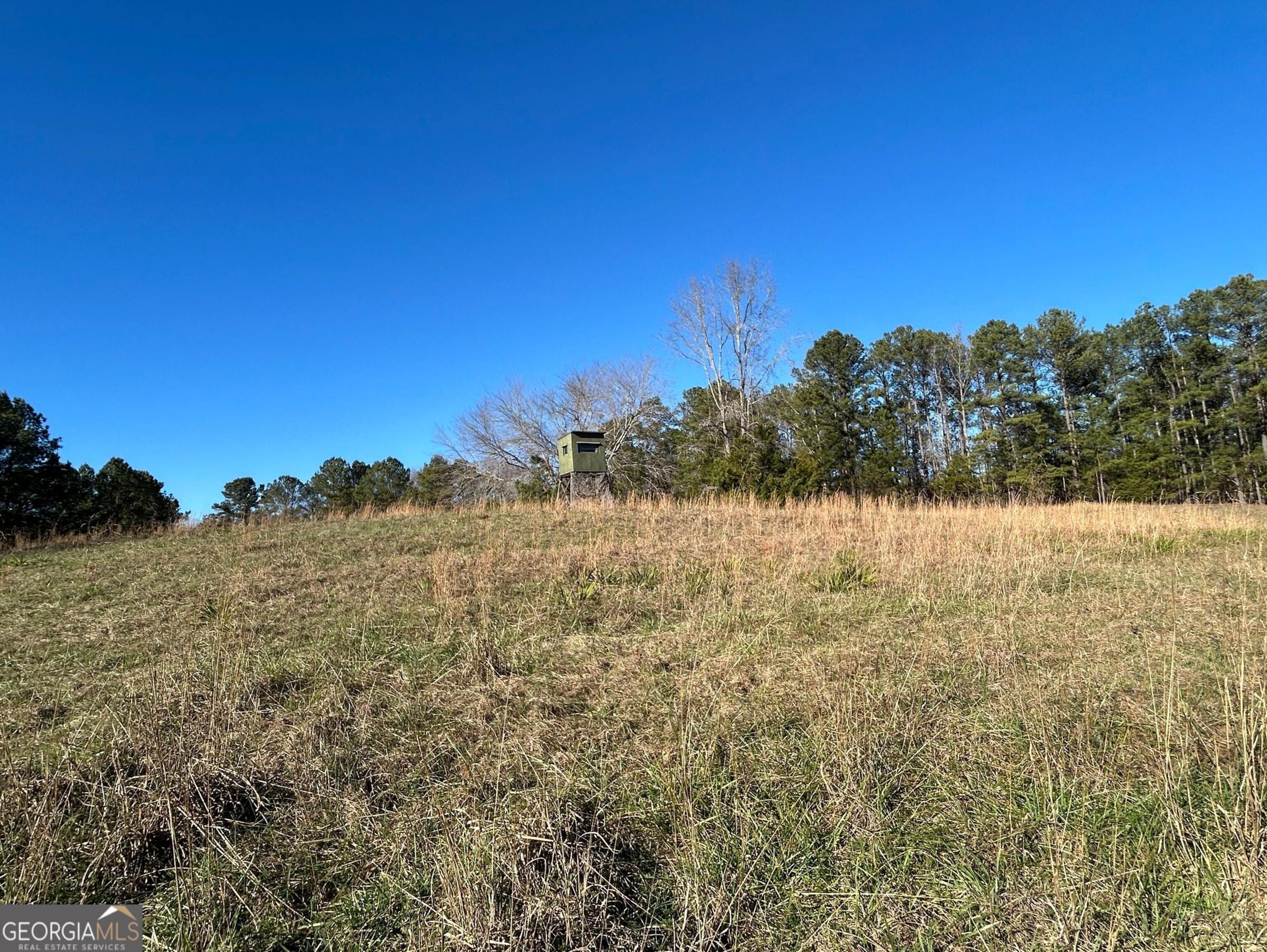 0 Vineyard Road Thomaston, GA 30286 - Photo 35 of 40