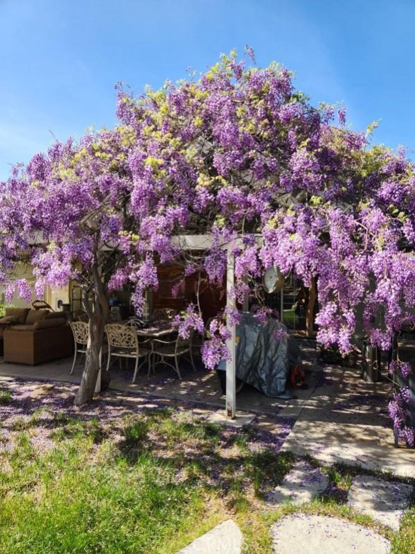 33150 Big Springs Road Acton, CA 93510 - Photo 14 of 48