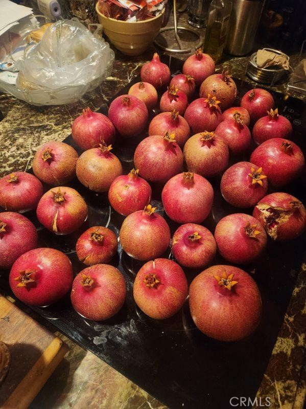 33150 Big Springs Road Acton, CA 93510 - Photo 26 of 48