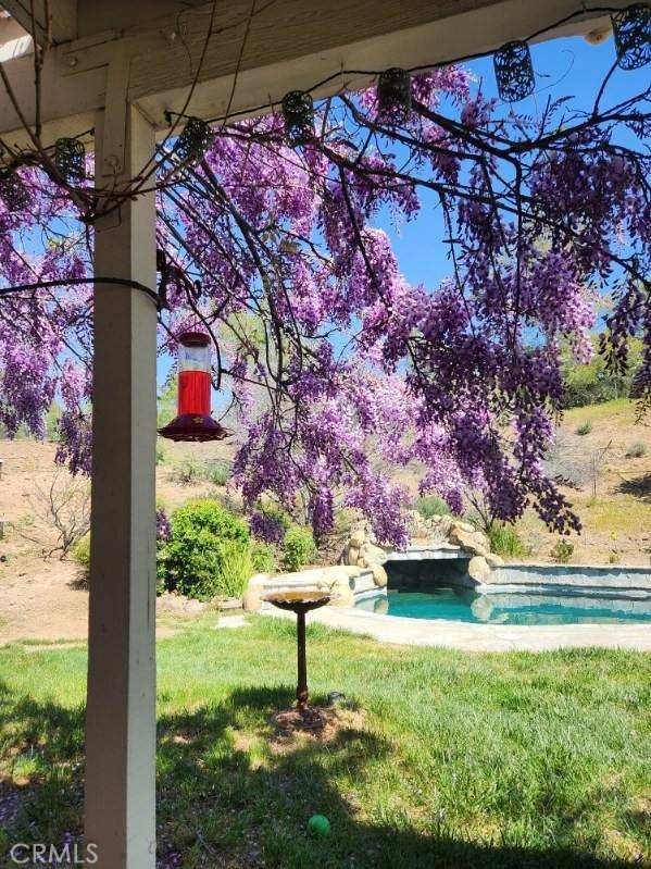 33150 Big Springs Road Acton, CA 93510 - Photo 28 of 48