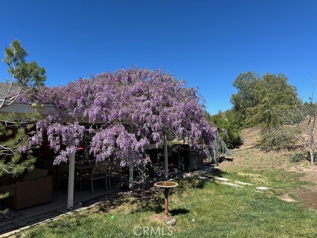 33150 Big Springs Road Acton, CA 93510 - Photo 37 of 48