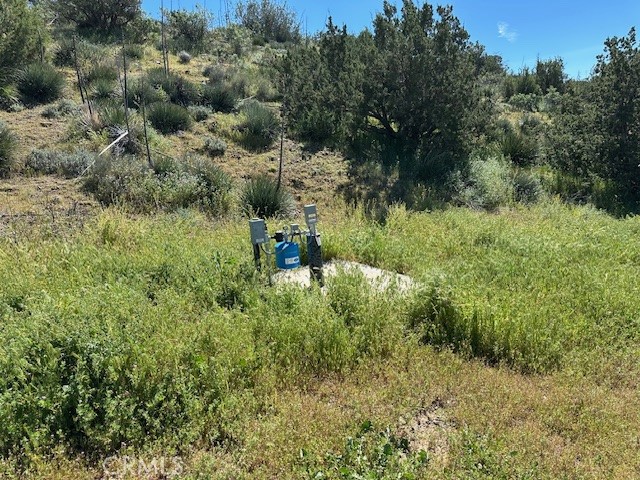 33150 Big Springs Road Acton, CA 93510 - Photo 38 of 48