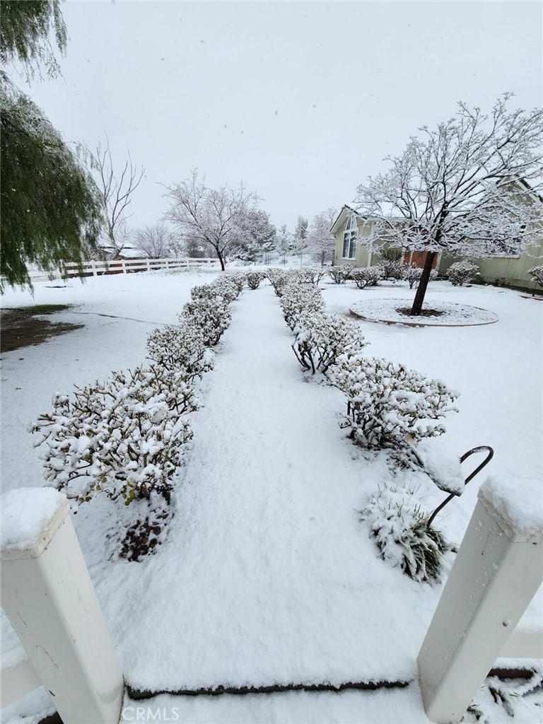 33150 Big Springs Road Acton, CA 93510 - Photo 43 of 48