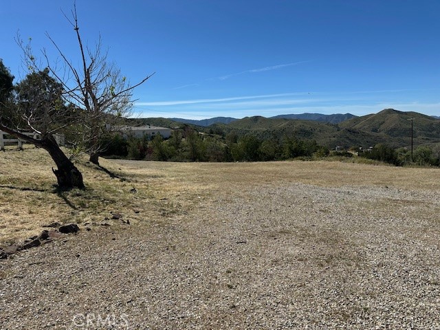 33150 Big Springs Road Acton, CA 93510 - Photo 9 of 48