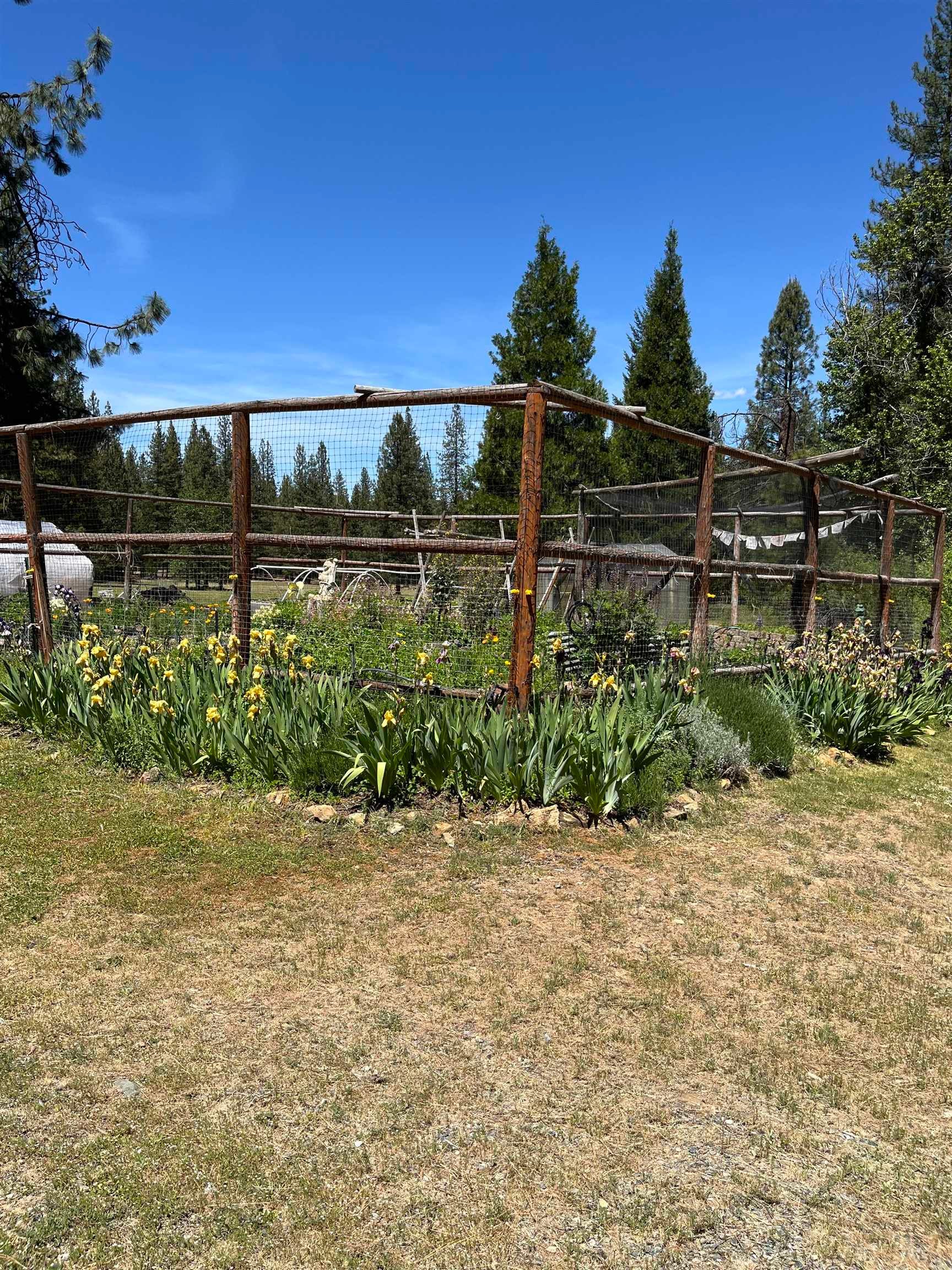 Nsa Emigrant Creek Road Greenview, CA 96037 - Photo 48 of 49 Gallery Image 48