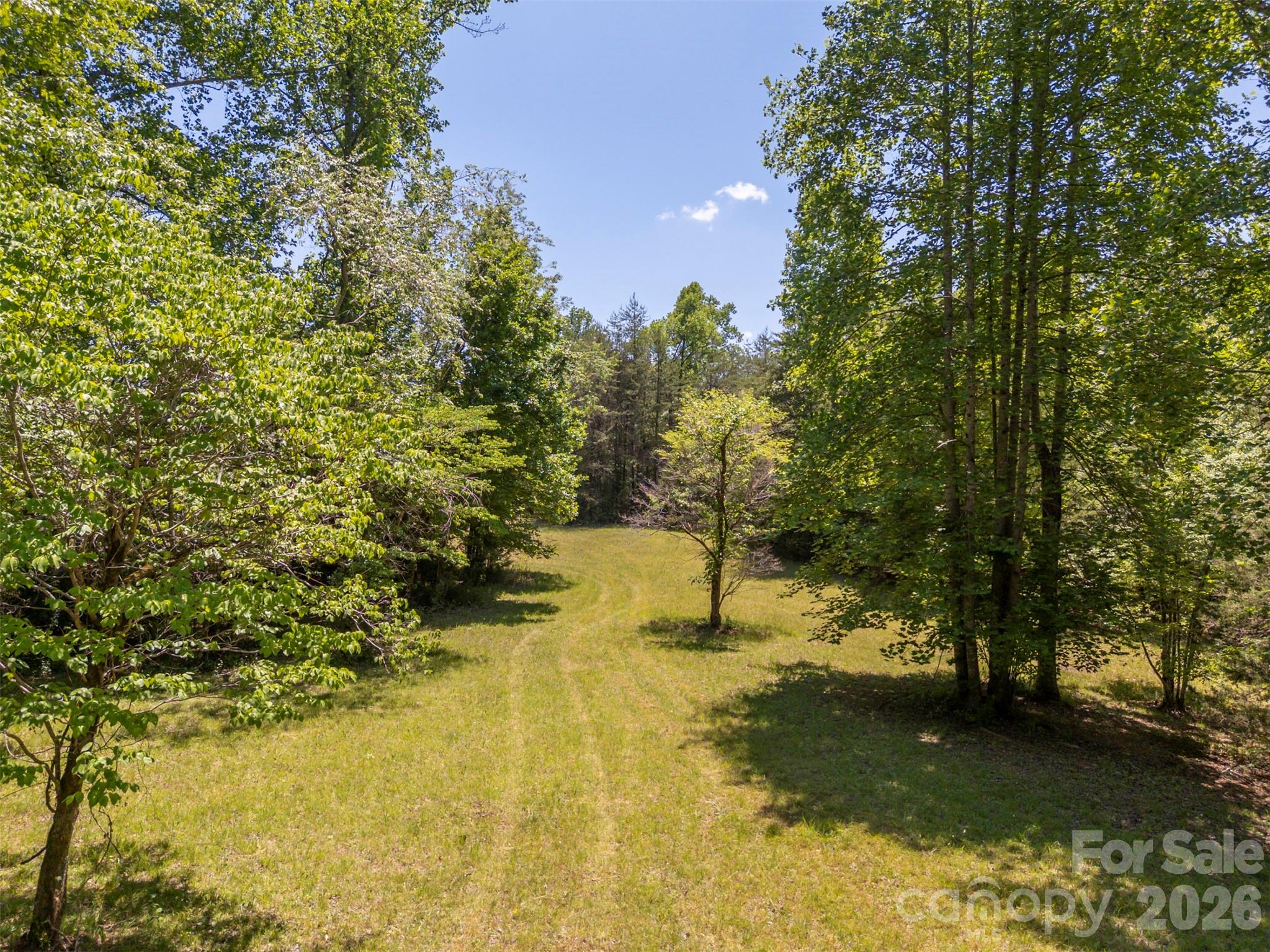 265 Willow Pond Road Rutherfordton, NC 28139 - Photo 48 of 48