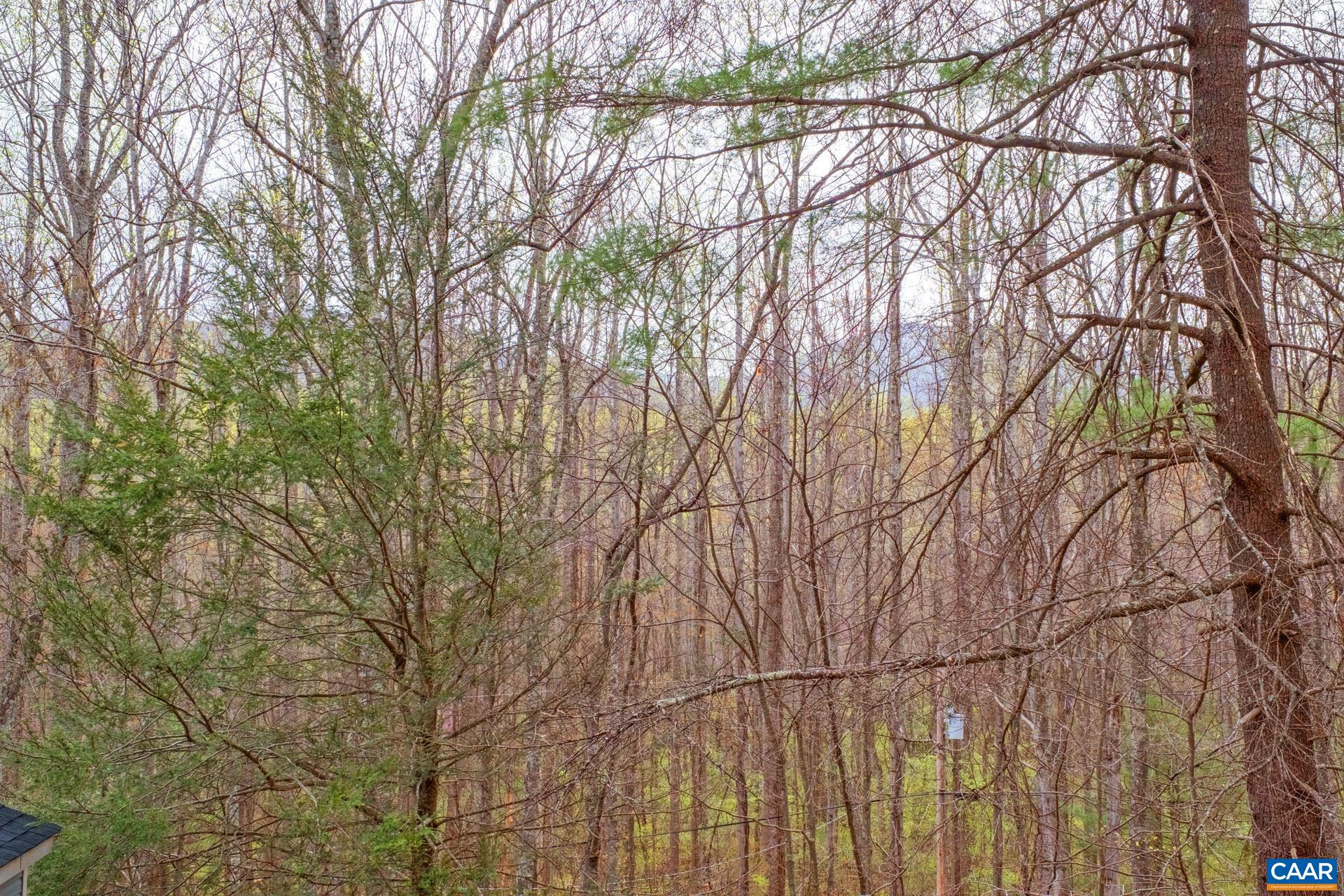 115 Circle Road Stanardsville, VA 22973 - Photo 24 of 28 a backyard of a house with lots of green space