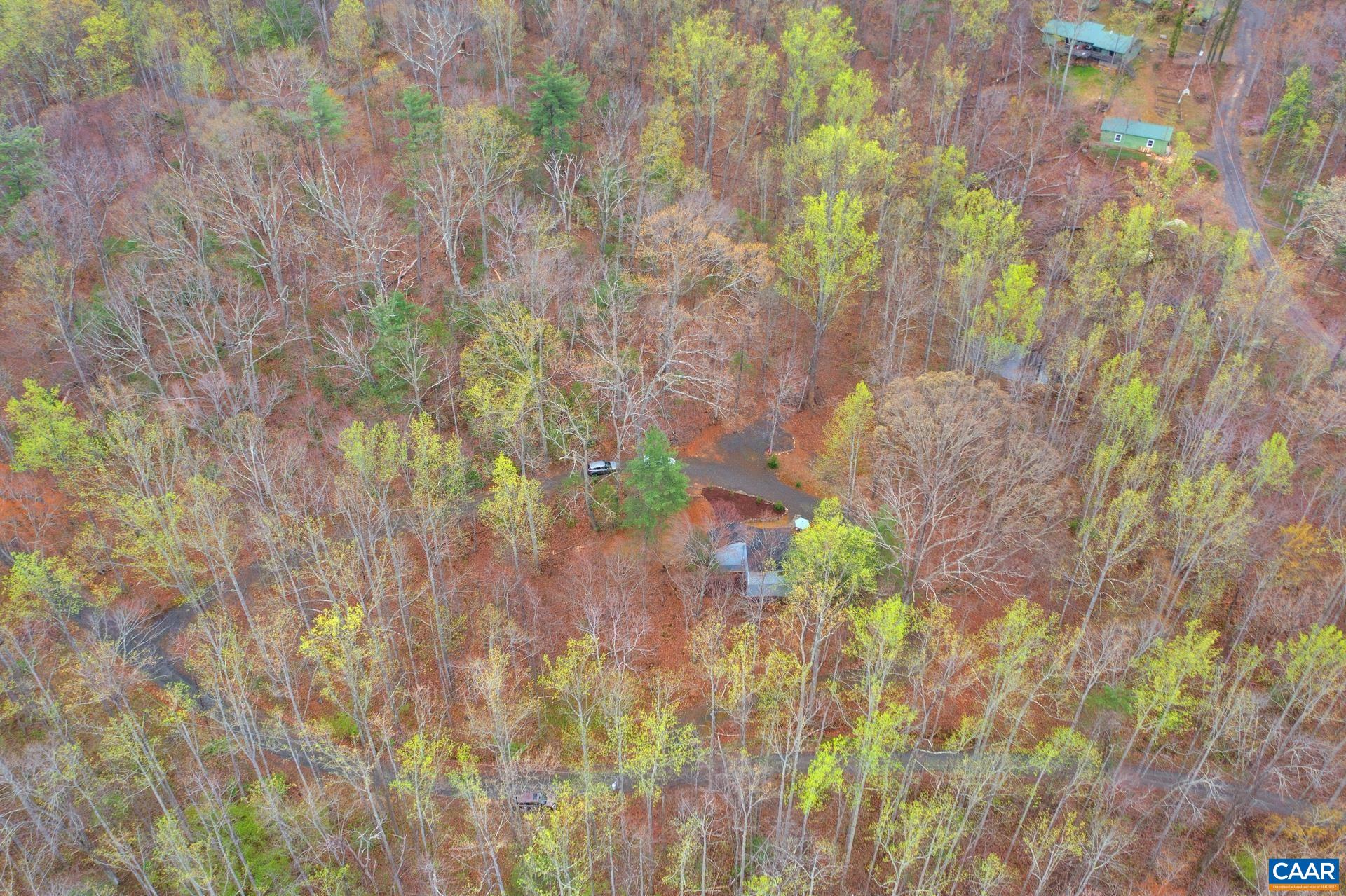 115 Circle Road Stanardsville, VA 22973 - Photo 25 of 28 a backyard of a house with lots of green space and a forest