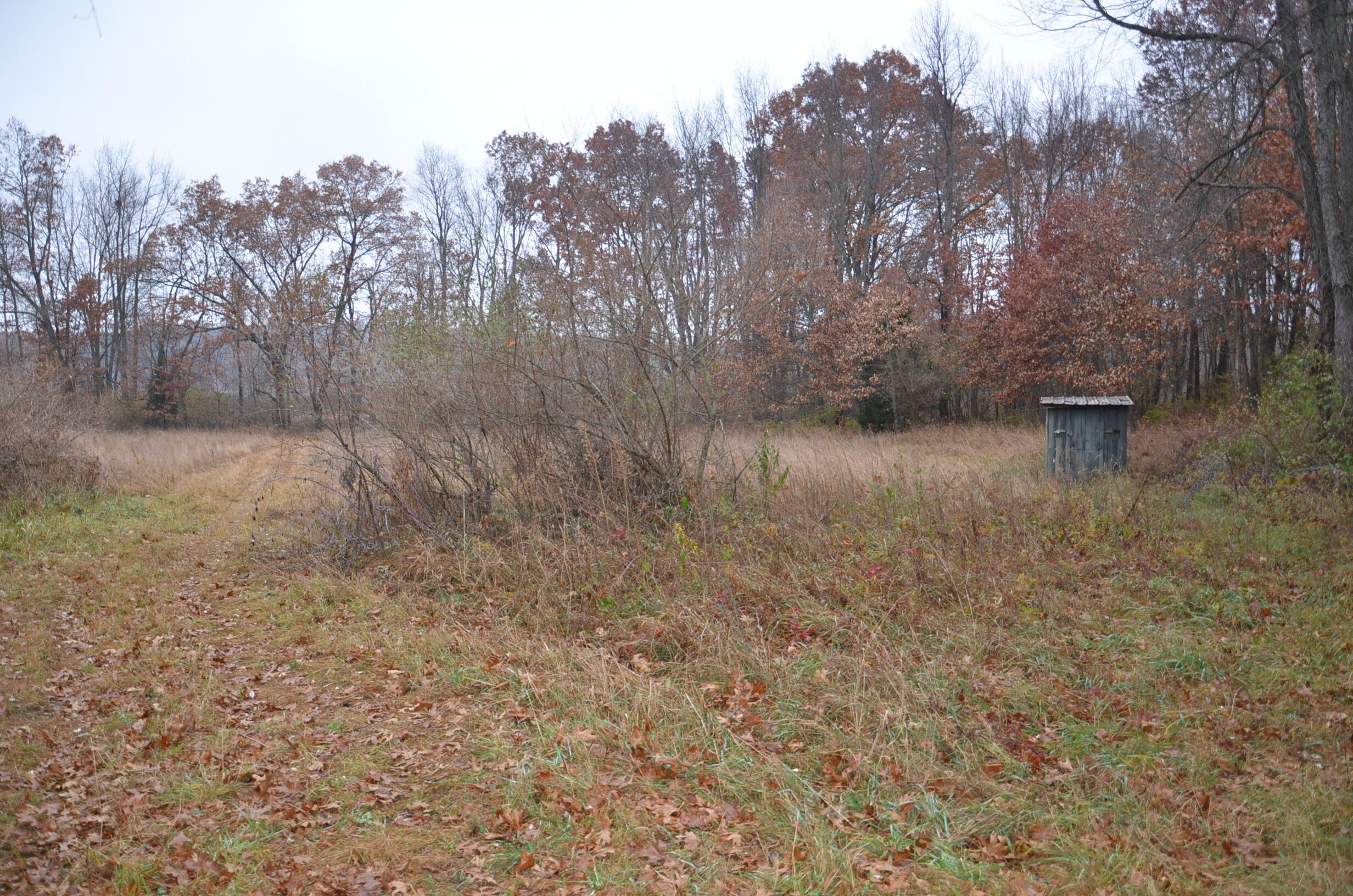 3366 Ludlow Road Albion, MI 49224 - Photo 37 of 50 DSC_5481