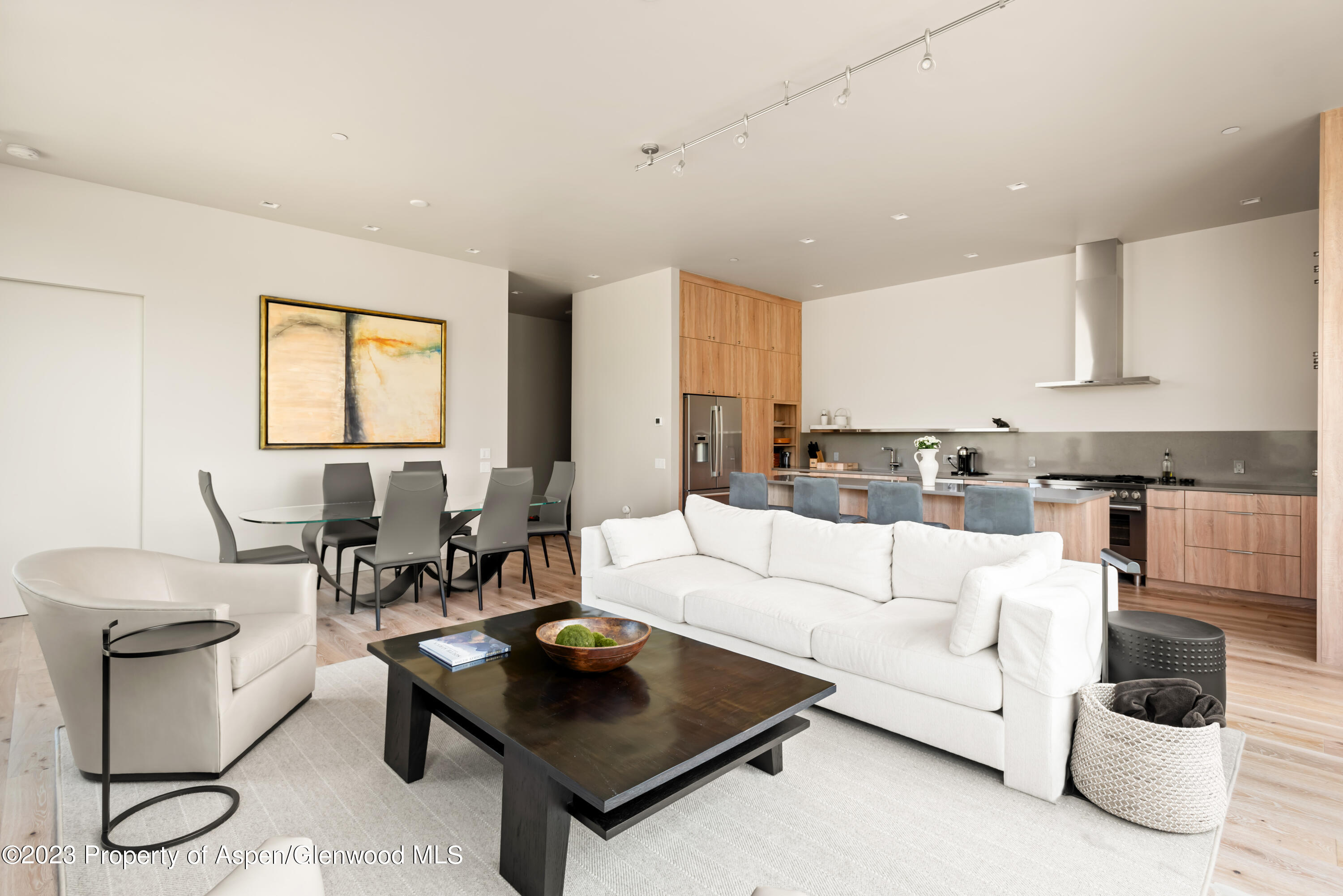 103 Willits Lane, Unit 203 Basalt, CO 81621 - Photo 3 of 17 a living room with furniture and white walls