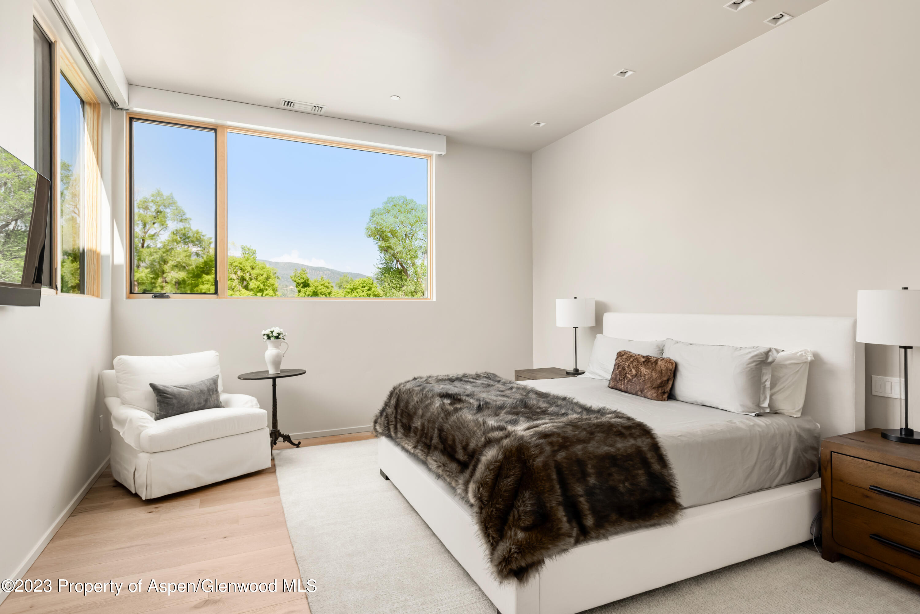 103 Willits Lane, Unit 203 Basalt, CO 81621 - Photo 8 of 17 a bedroom with a bed and a couch