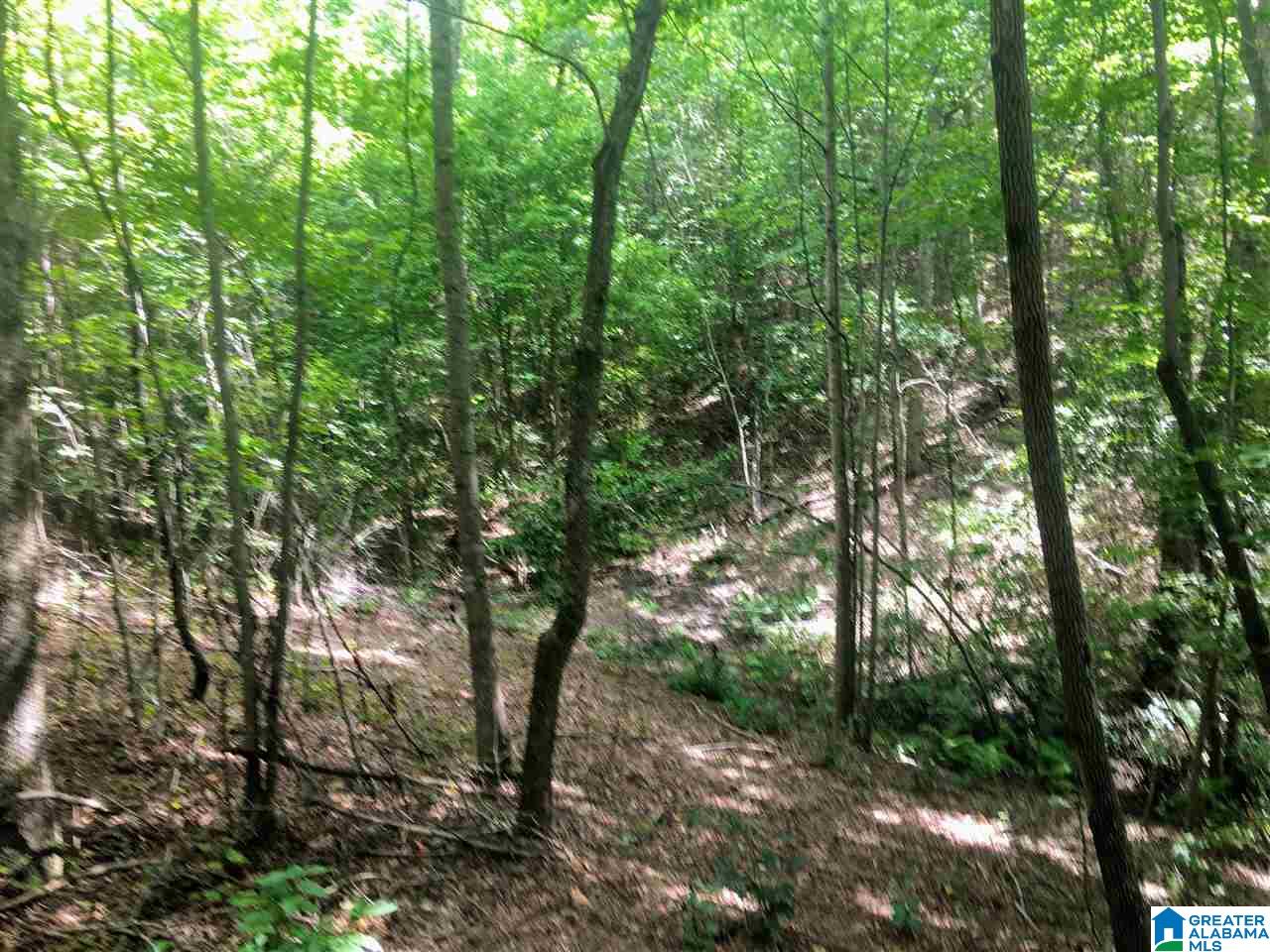 2565 Kentuck Road, Unit 4569 Oxford, AL 36203 - Photo 31 of 46