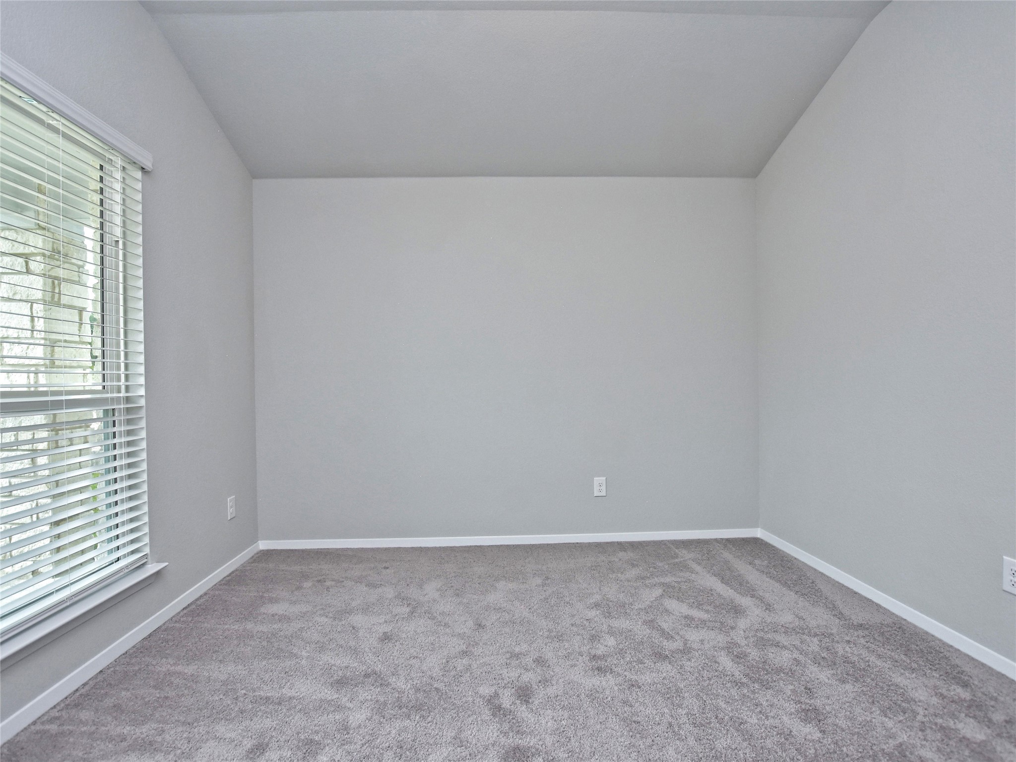 20701 Boggy Ford Road Lago Vista, TX 78645 - Photo 22 of 40 Spare room featuring light carpet and vaulted ceiling