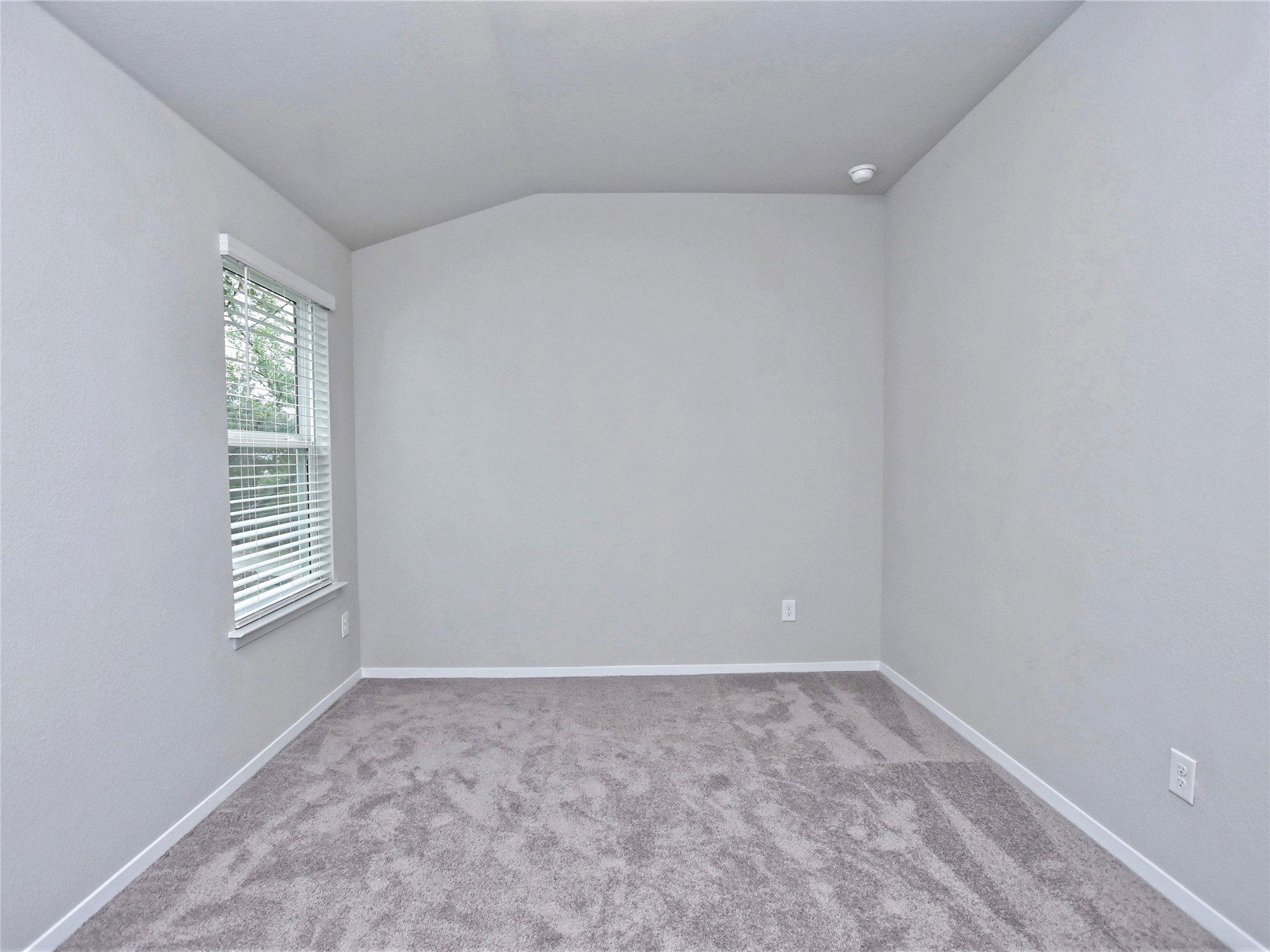 20701 Boggy Ford Road Lago Vista, TX 78645 - Photo 25 of 40 Spare room with lofted ceiling and light carpet