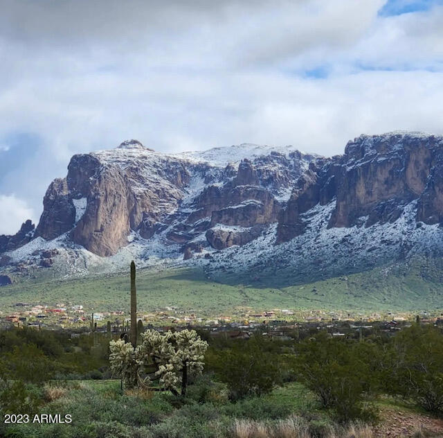 1297 North Roadrunner Road Apache Junction, AZ 85119 - Photo 45 of 48 IMG_1325