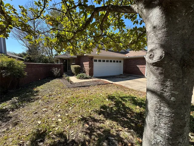 a view of a tree with a yard