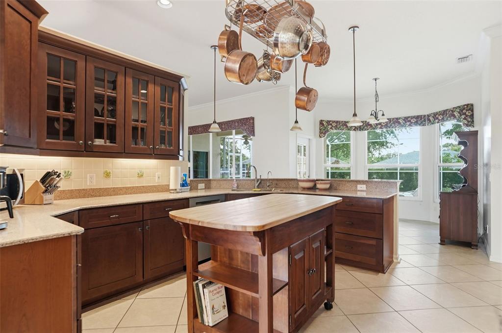 14228 Presteign Lane Spring Hill, FL 34609 - Photo 33 of 89 a kitchen with a sink a counter and appliances