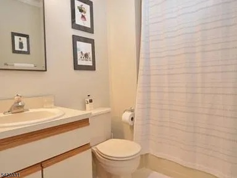 24 Spring Valley Boulevard Bernards, NJ 07920 - Photo 9 of 18