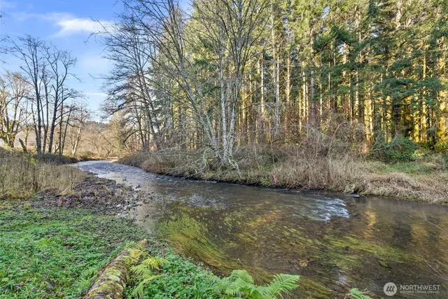 a view of back yard of the house