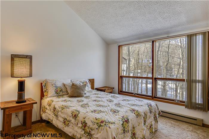 770 Mountainside Road Davis, WV 26260 - Photo 9 of 20 Gallery Image 9