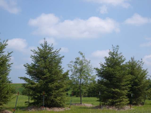 L1 Joannes Garden Sun Prairie, WI 53590 - Photo 5 of 21