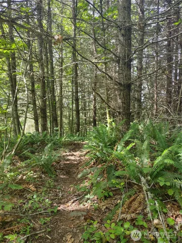 $745,000 | 0 Hansen Road, Port Angeles, WA 98363