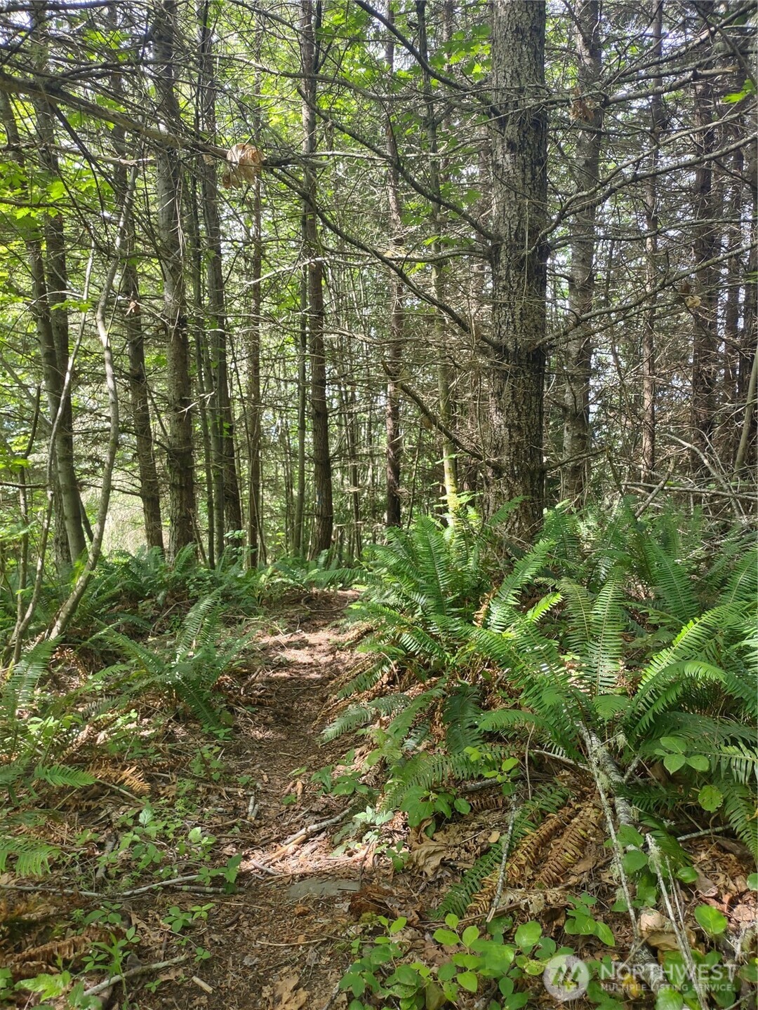 0 Hansen Road Port Angeles, WA 98363 - Photo 2 of 6