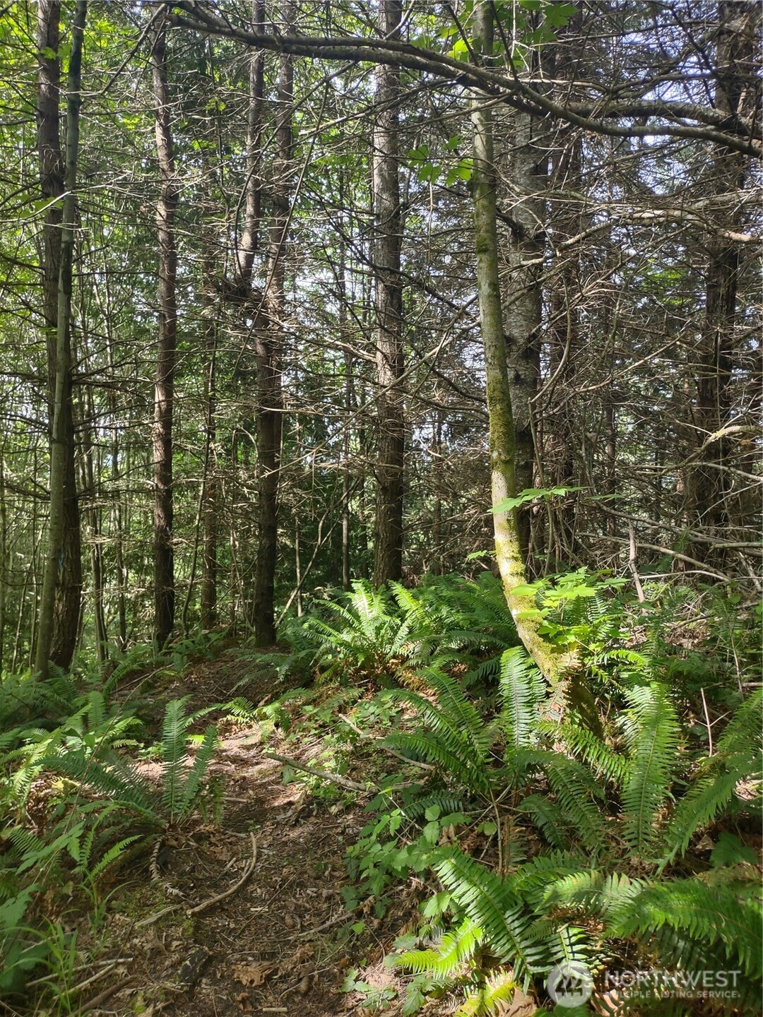 0 Hansen Road Port Angeles, WA 98363 - Photo 3 of 6