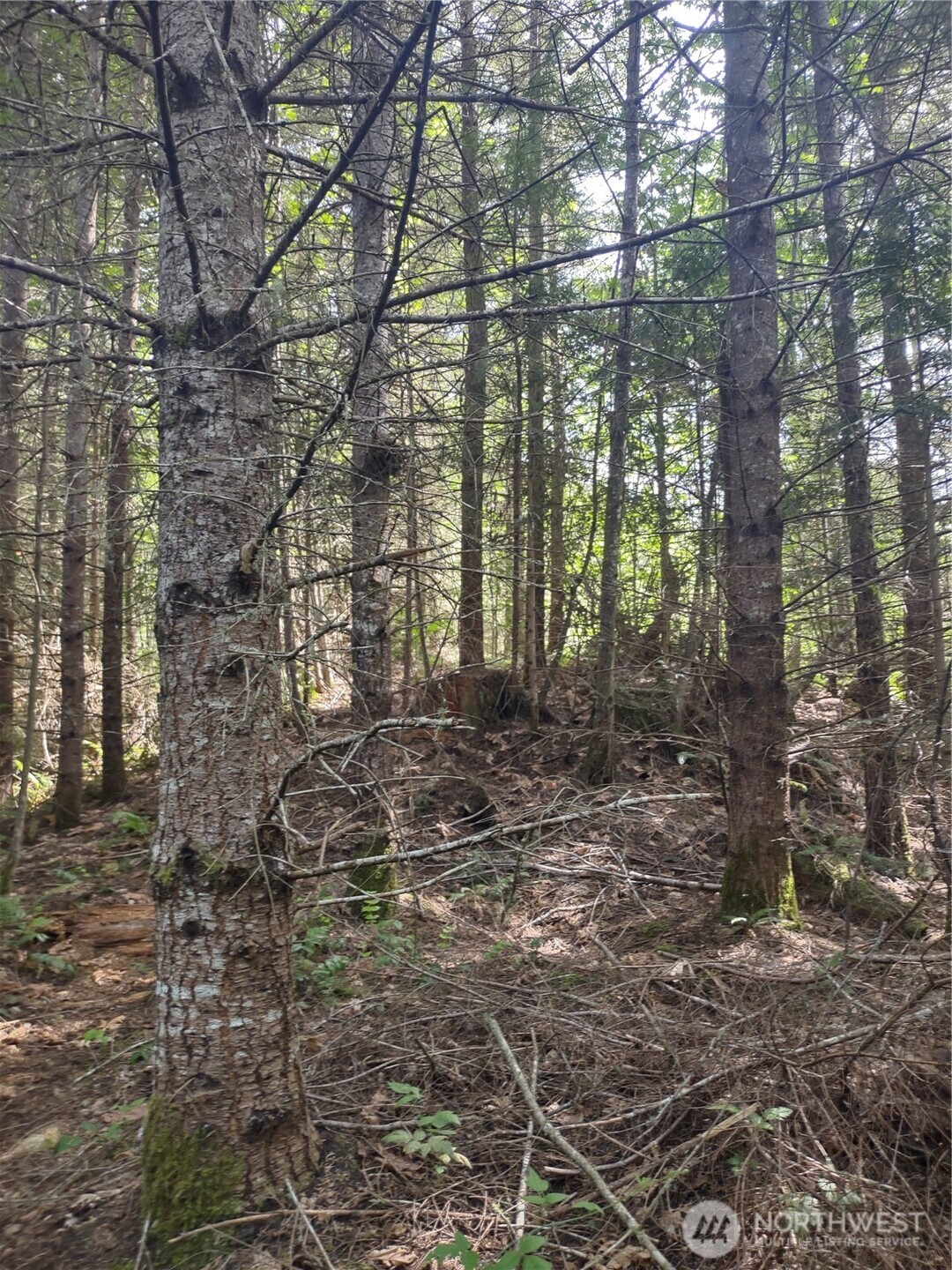 0 Hansen Road Port Angeles, WA 98363 - Photo 4 of 6