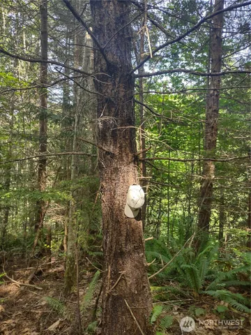 $745,000 | 0 Hansen Road, Port Angeles, WA 98363