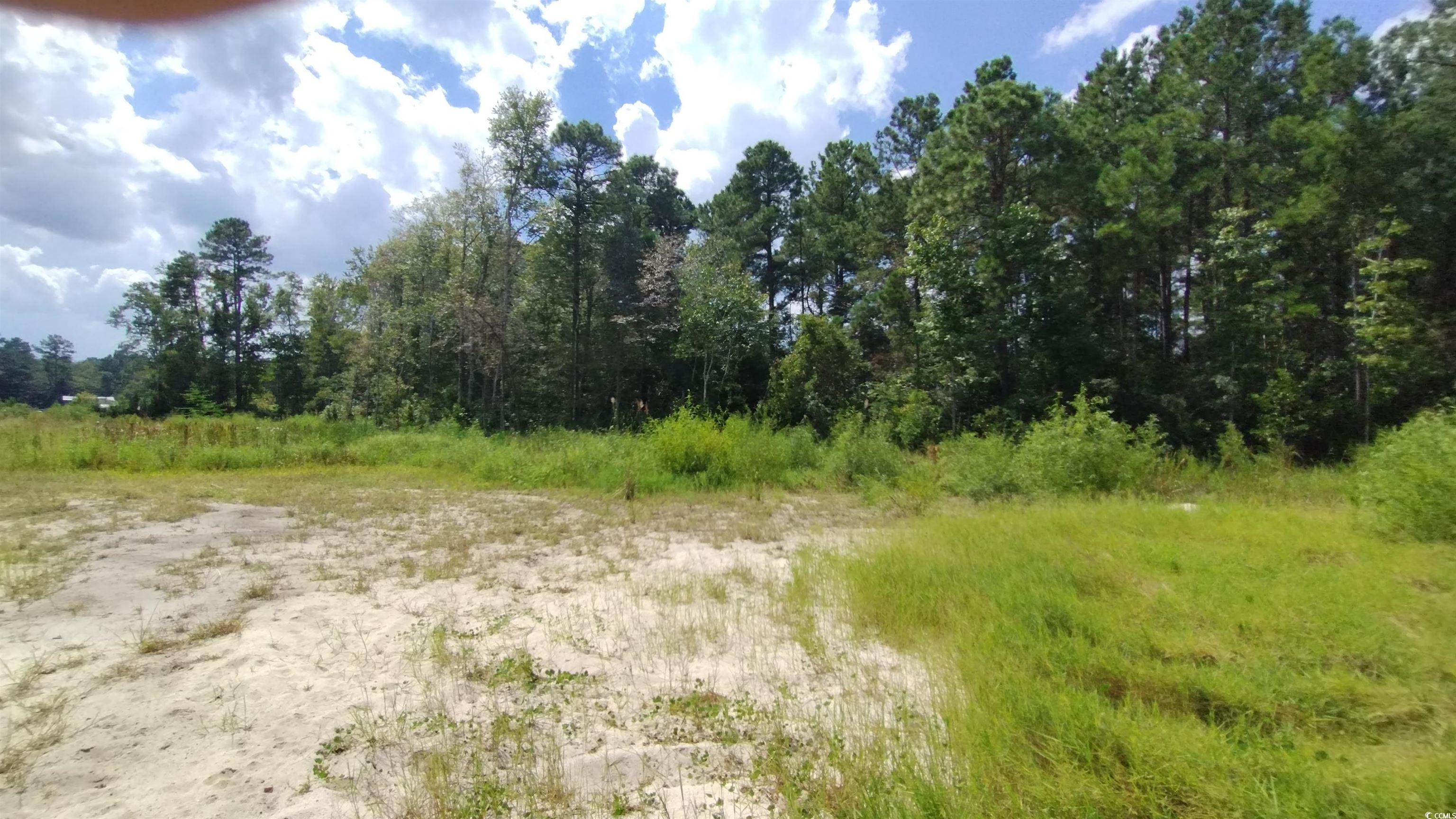 2950 Hugo Road Conway, SC 29527 - Photo 1 of 9