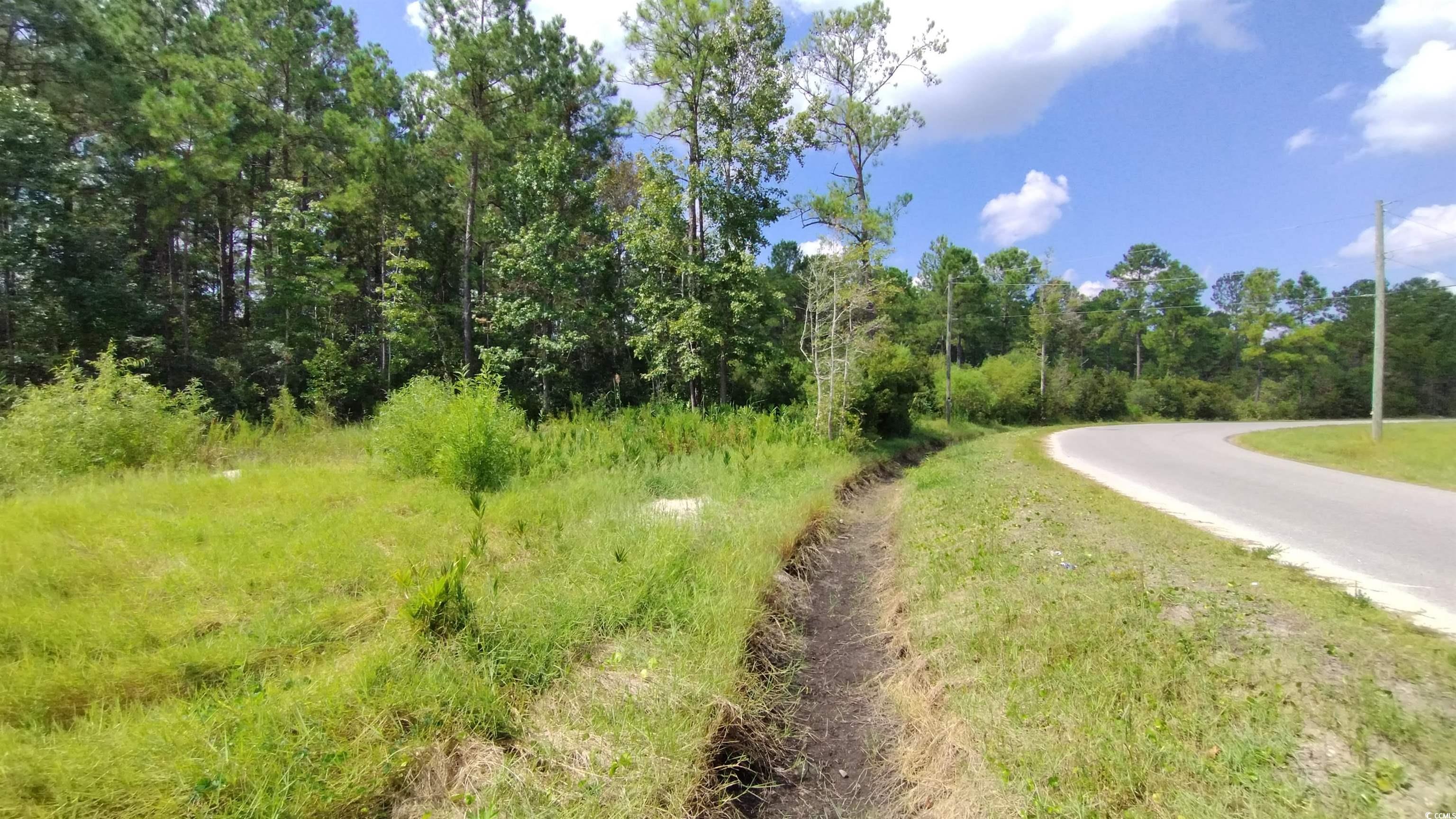 2950 Hugo Road Conway, SC 29527 - Photo 2 of 9