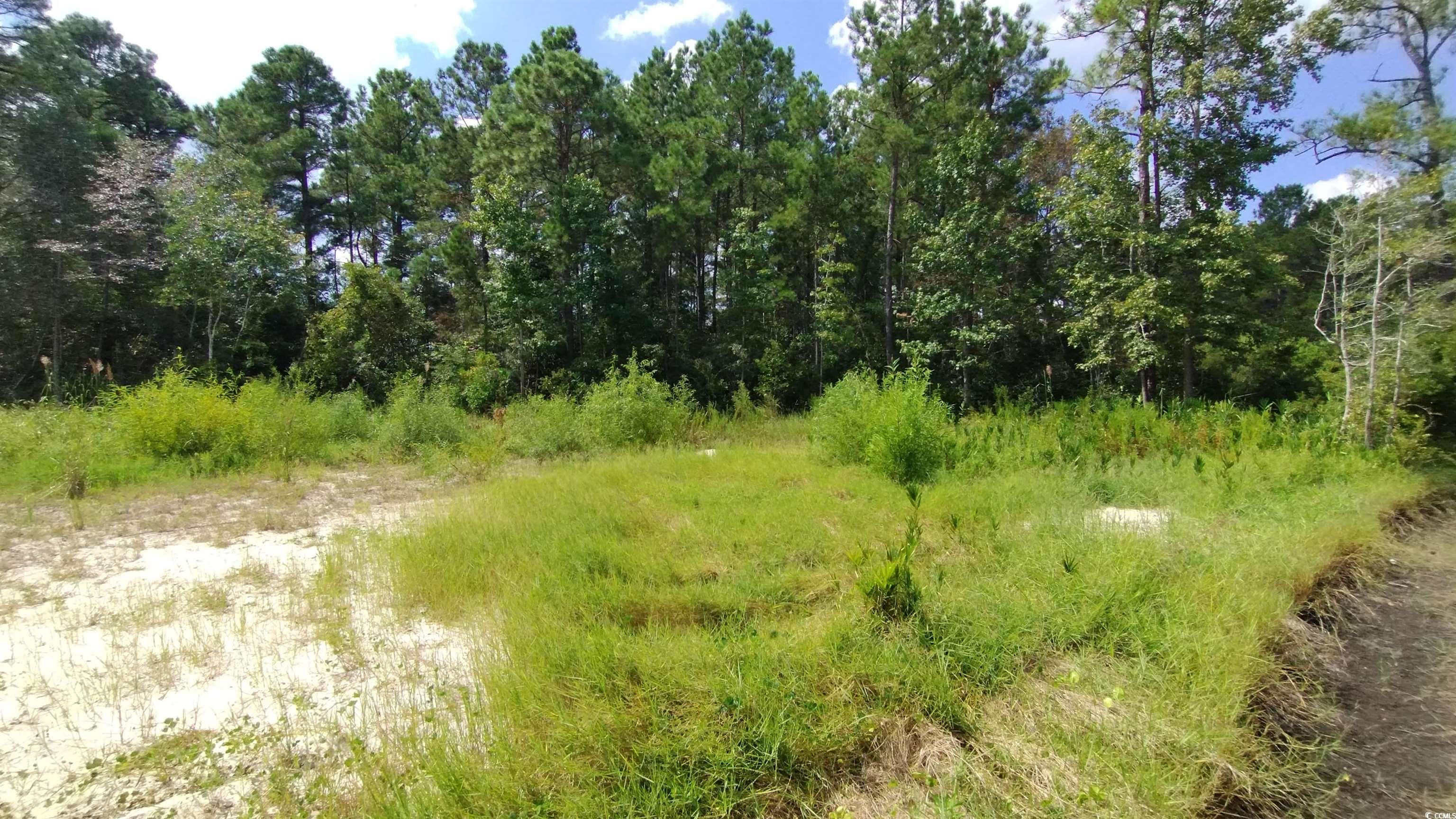 2950 Hugo Road Conway, SC 29527 - Photo 3 of 9