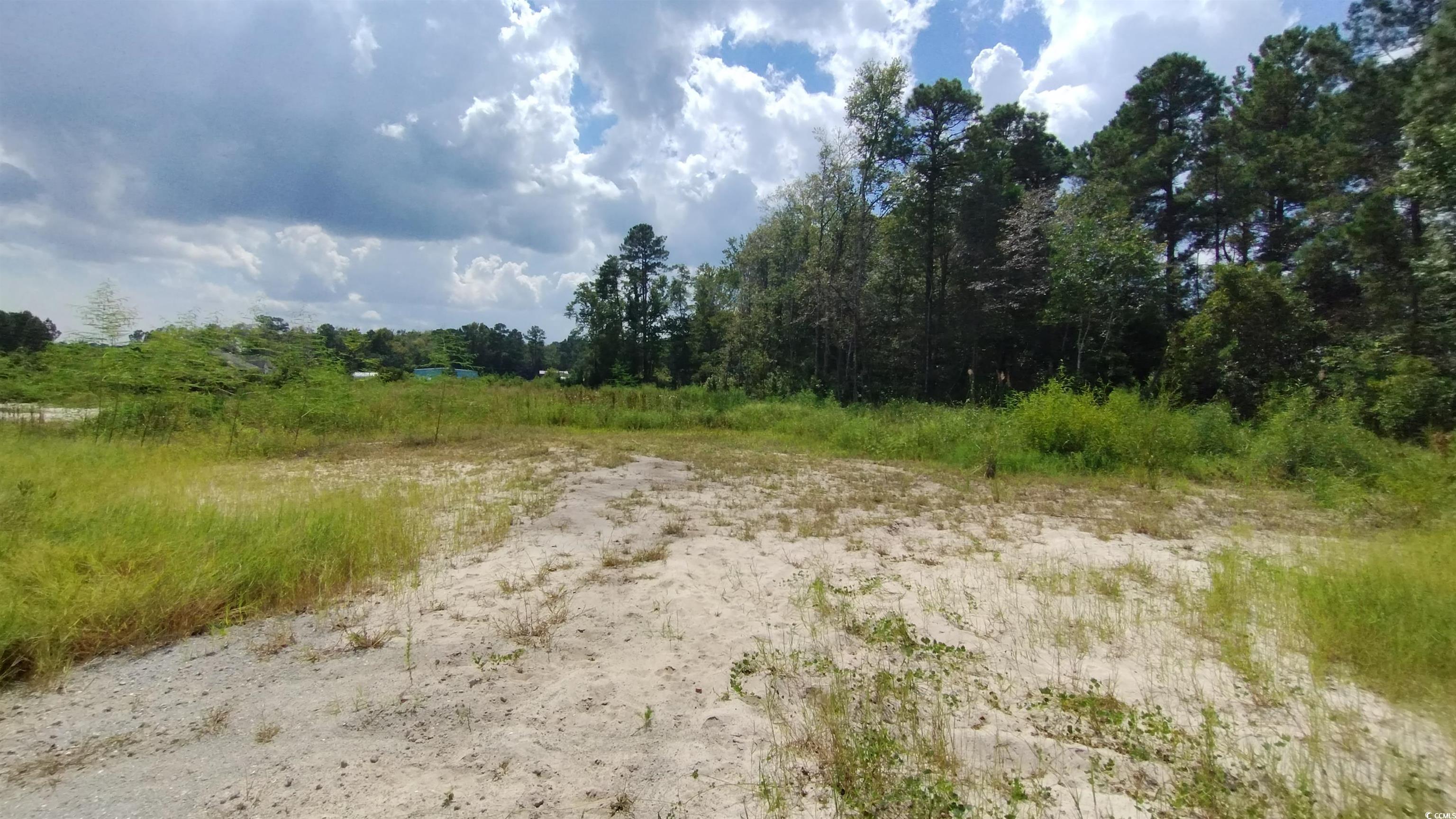 2950 Hugo Road Conway, SC 29527 - Photo 4 of 9