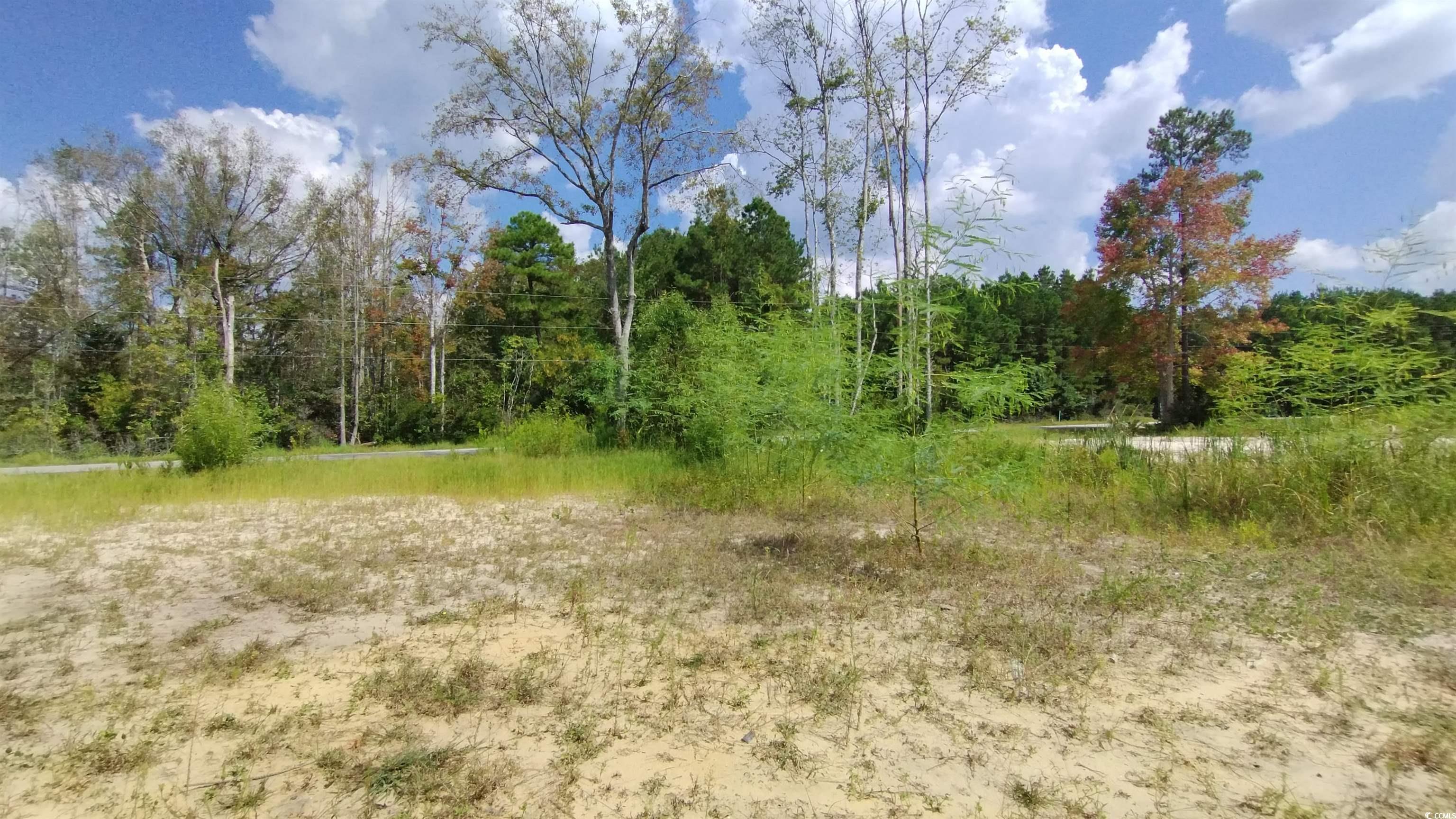 2950 Hugo Road Conway, SC 29527 - Photo 5 of 9