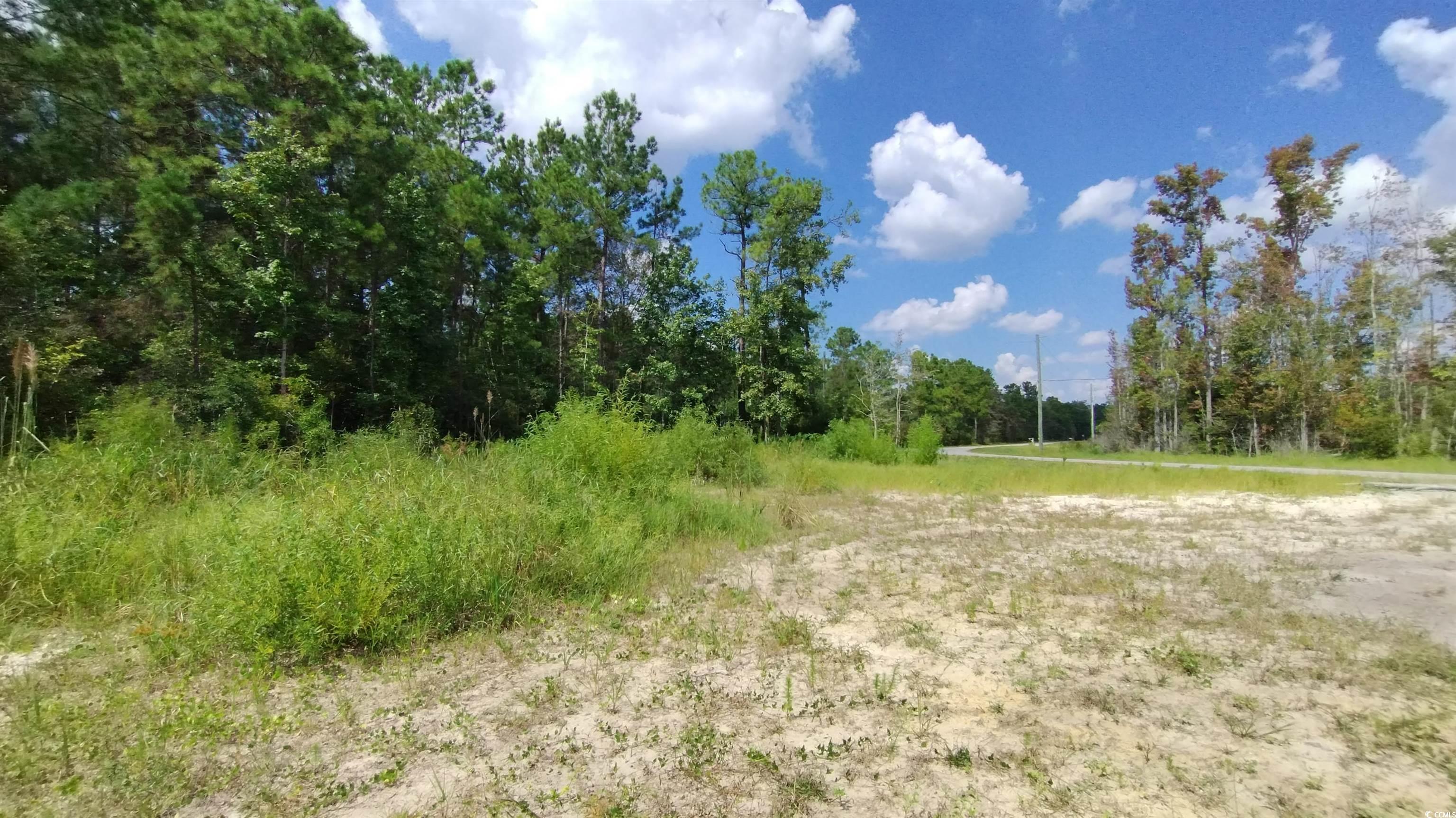 2950 Hugo Road Conway, SC 29527 - Photo 6 of 9