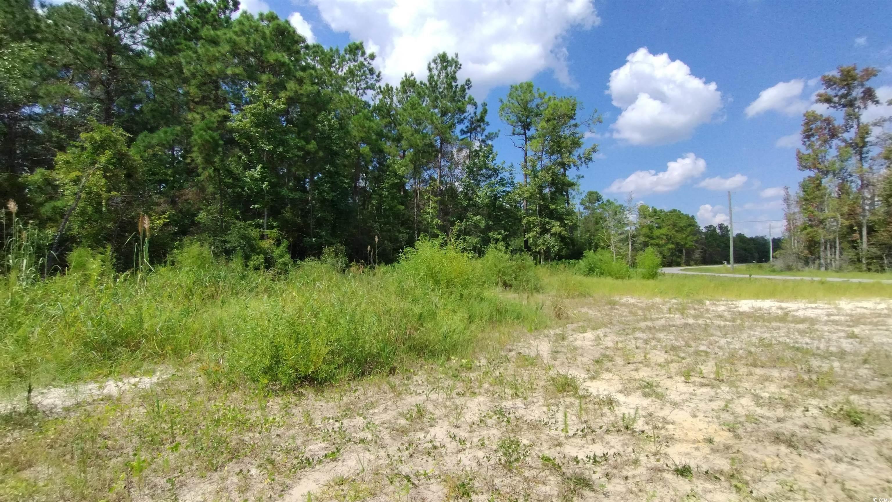 2950 Hugo Road Conway, SC 29527 - Photo 7 of 9