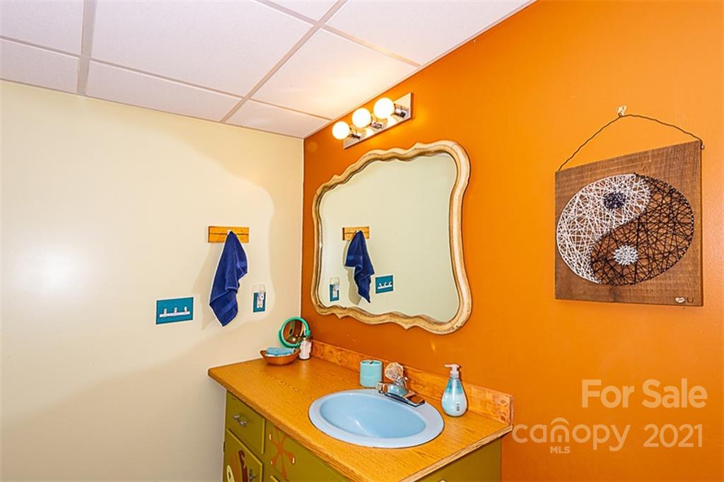 241 Ray Hill Road Horse Shoe, NC 28742 - Photo 41 of 43 a bathroom with a sink and a mirror